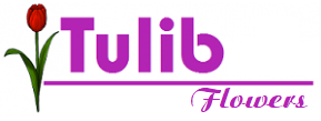 Tulib Shop